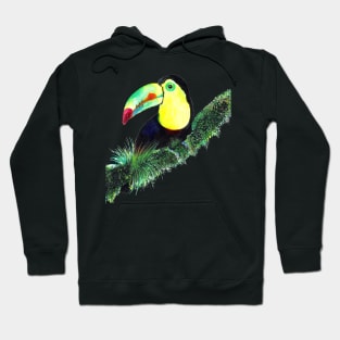 Colorful Toucan Watercolor Illustration perched on a Green Tree Branch Hoodie
